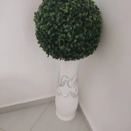 Adonai Apartman *